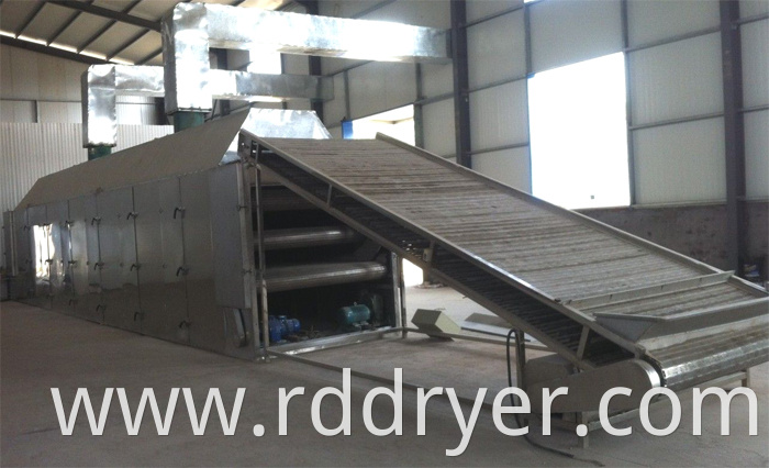 Professional Coal Briquette Dryer